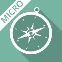 Team Development and Leadership